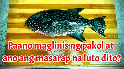 PAANO LINISIN ANG ISDANG PAKOL AT ANO ANG BEST NA .